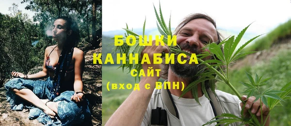 ГАЛЛЮЦИНОГЕННЫЕ ГРИБЫ Аркадак